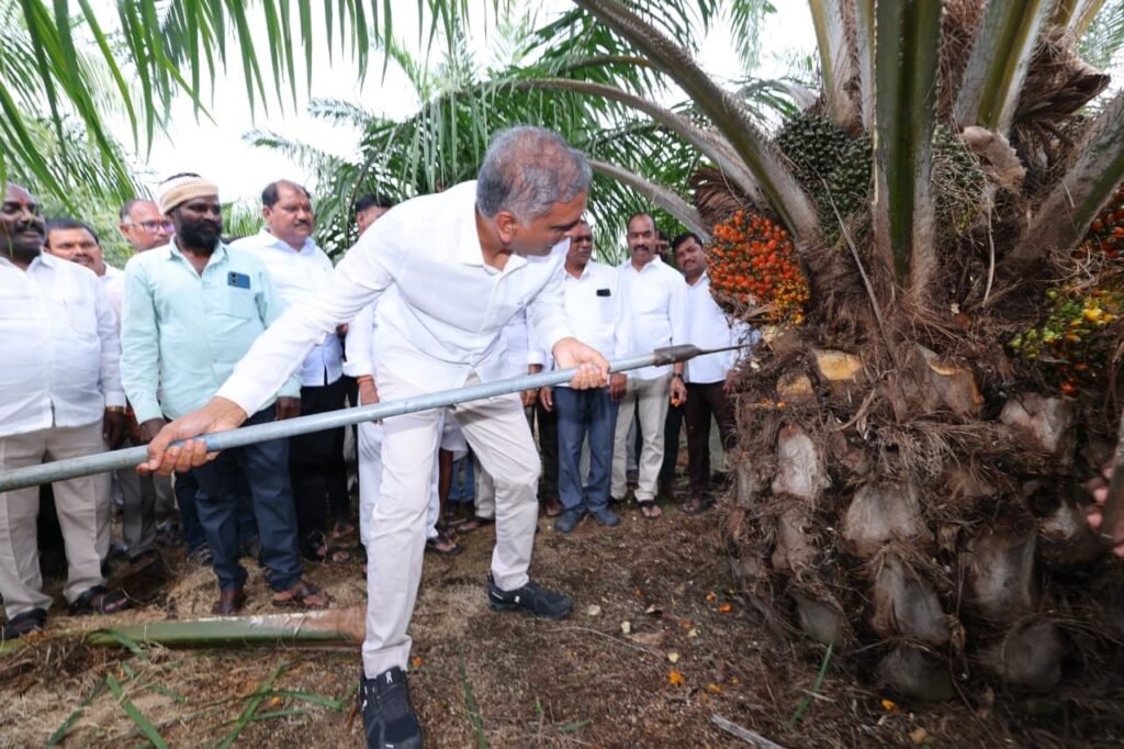 ఆయిల్ పామ్ తోటల సాగుతో అధిక‌ దిగుబడి మాజీ మంత్రి హ‌రీష్ రావు